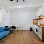 Studio o rozloze 30 m² v prague