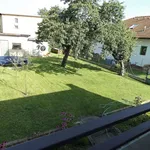 Rent 5 bedroom house in vcelna