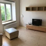 Pronajměte si 1 ložnic/e byt o rozloze 65 m² v Cakovice