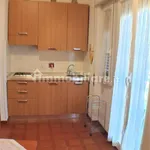 Rent 1 bedroom house of 25 m² in Rome