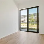 Rent 2 bedroom apartment in VILVOORDE