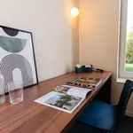 Rent 1 bedroom apartment in Leuven