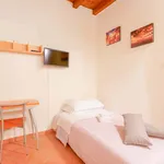 Rent 2 bedroom apartment of 23 m² in Bologna