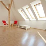 Rent 4 bedroom apartment of 110 m² in Brno