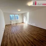 Rent 1 bedroom apartment of 44 m² in Slavičín