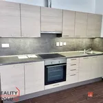 Rent 3 bedroom apartment in Louny