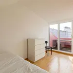 Rent 1 bedroom apartment in lisbon