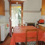 Rent 5 bedroom apartment of 140 m² in Turin