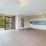 Flat - apartment for rent - Meeuwen