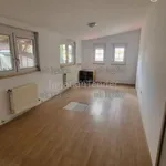 Rent 5 bedroom house of 740 m² in Budakeszi