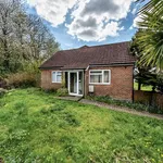 Rent 3 bedroom house in Winchester