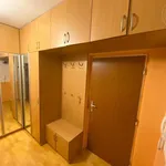 Rent 1 bedroom apartment of 1 m² in Brno