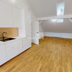 Rent 2 bedroom apartment of 151 m² in Pelhřimov