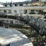 Rent 4 bedroom apartment of 130 m² in Trento