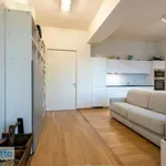 Rent 3 bedroom apartment of 100 m² in Milan