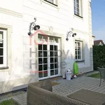 Rent 1 bedroom house of 338 m² in Prague