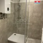 Rent 3 bedroom apartment in Praha 2