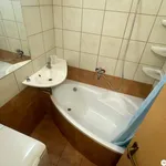 Pronajměte si 1 ložnic/e byt o rozloze 44 m² v Suchdol nad Lužnicí