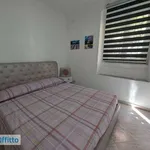 Rent 2 bedroom apartment of 50 m² in Rome