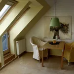 Rent 1 bedroom apartment of 431 m² in Cologne