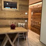 Rent 2 bedroom apartment of 45 m² in Pinzolo