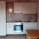 Rent 2 bedroom apartment of 49 m² in Biella