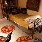 Rent a room in brussels