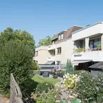 Rent 2 bedroom apartment of 64 m² in Wolfsburg