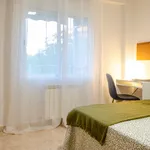 Rent 5 bedroom apartment in Madrid