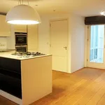 Huur 3 slaapkamer appartement van 110 m² in Amsterdam