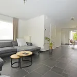 Rent 1 bedroom apartment in Hasselt