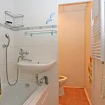 Rent 1 bedroom apartment in Sokolov