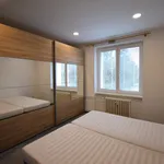 Rent 3 bedroom apartment in Brno