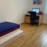 Miete 3 Schlafzimmer wohnung in Zurich