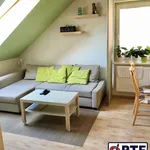 Rent 2 bedroom apartment of 40 m² in Pilsen