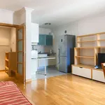 Rent 1 bedroom apartment in lisbon