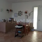 Rent 3 bedroom apartment of 70 m² in San Miniato