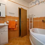 Rent 1 bedroom apartment of 205 m² in Olomouc