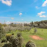 Rent 5 bedroom house of 580 m² in Rome