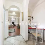 Rent 2 bedroom apartment of 50 m² in Florence