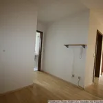 Rent 2 bedroom apartment of 85 m² in Schwallungen