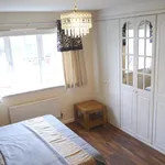 Rent 4 bedroom house in East Of England