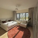 Rent 5 bedroom apartment of 110 m² in Antwerp