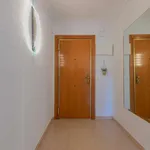 Rent a room in valencia