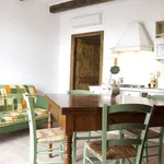 Rent 1 bedroom apartment of 40 m² in Turin