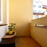 Rent 3 bedroom apartment of 67 m² in Rzeszów