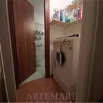 Affitto 4 camera appartamento di 150 m² in Pietrasanta