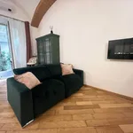 Rent 2 bedroom apartment of 55 m² in Turin