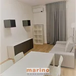 Rent 1 bedroom apartment of 50 m² in Padova