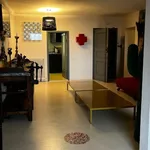 Rent 4 bedroom apartment of 100 m² in Arezzo